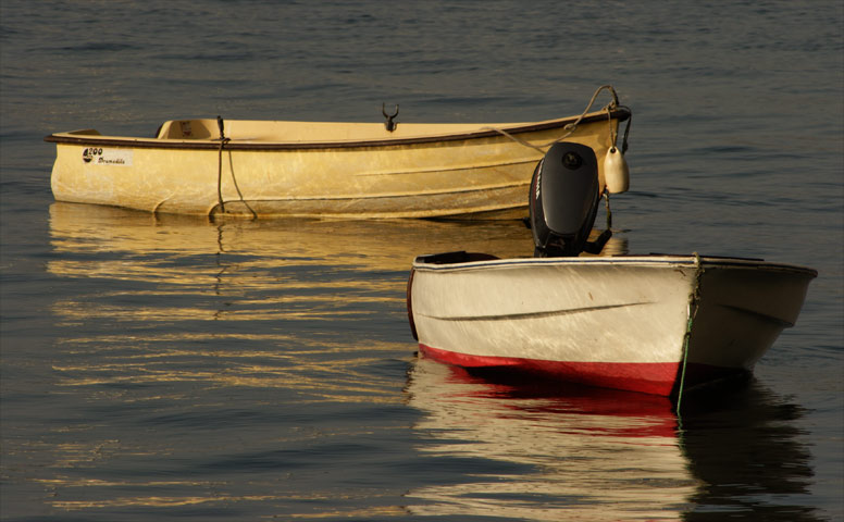 Salcombe, Devon